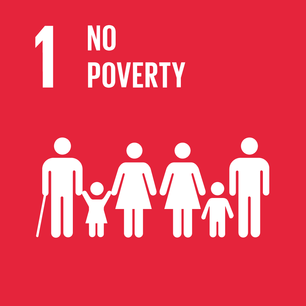 SDG goal 1