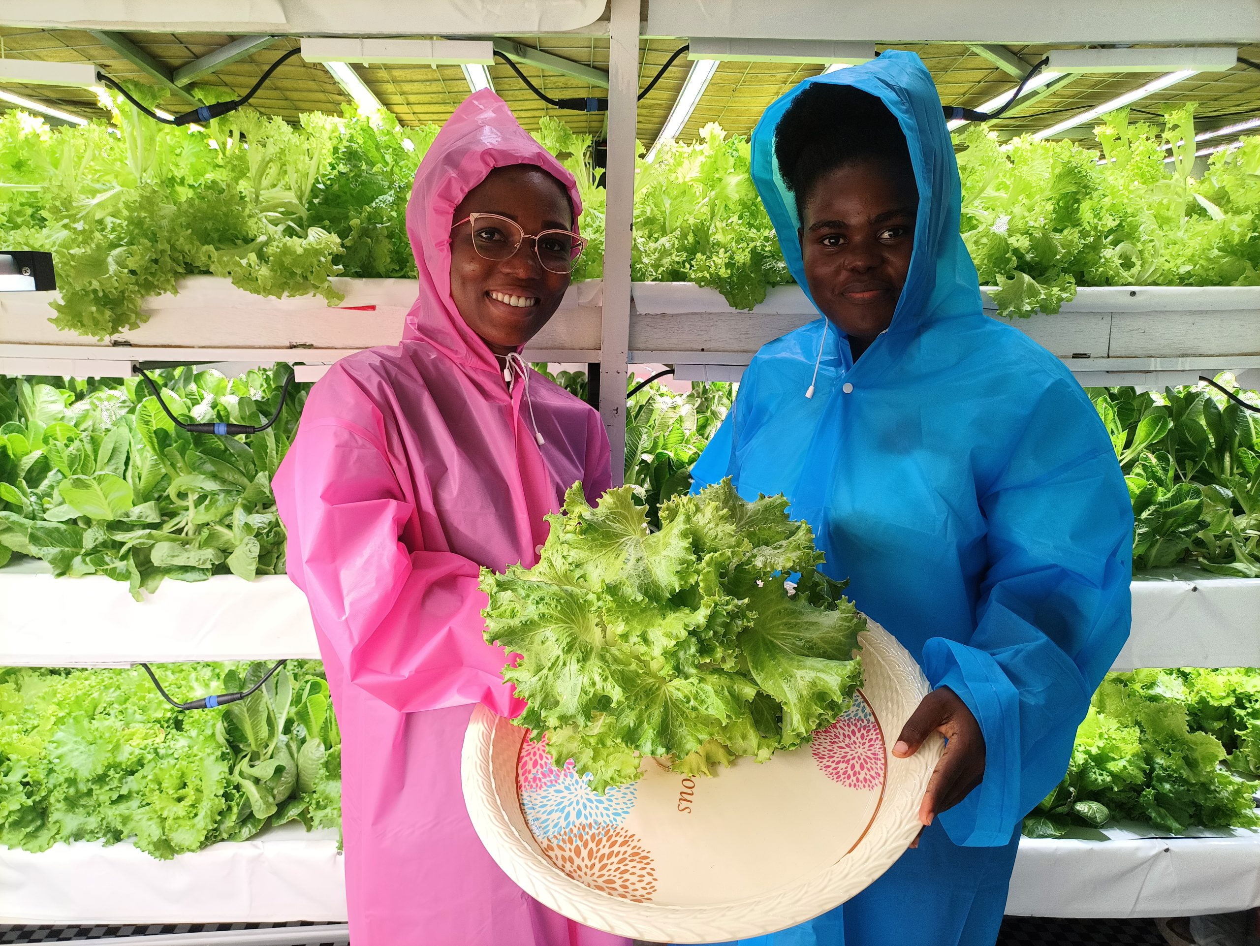 Farm visit - Farm Estates Ltd