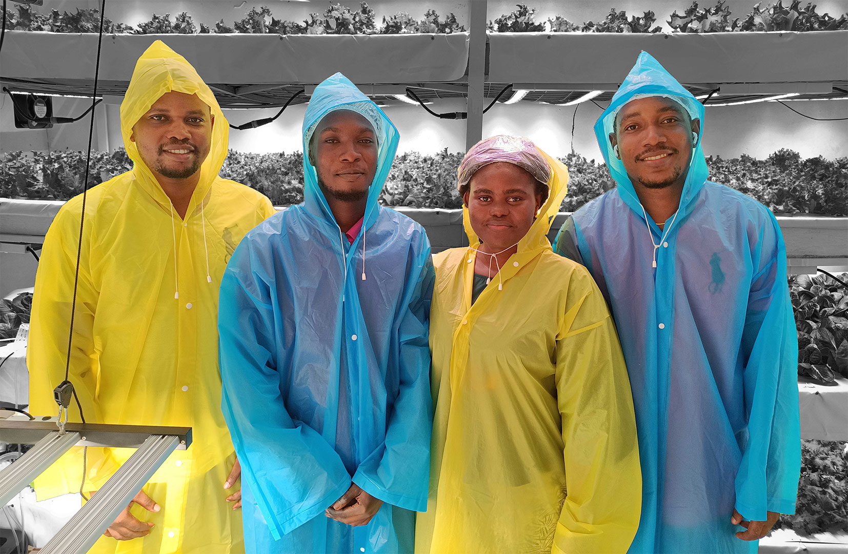 Members of Farm Estates Ltd. From the right is Felix Larmie, second to right is Adelaide Naa Okpoti, second to left is Philip Abecca Acquaye and to the left is Ernest Larmie.